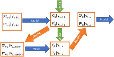 Estimation of Ocean Biogeochemical Parameters in an Earth System Model Using the Dual One Step Ahead Smoother: A Twin Experiment